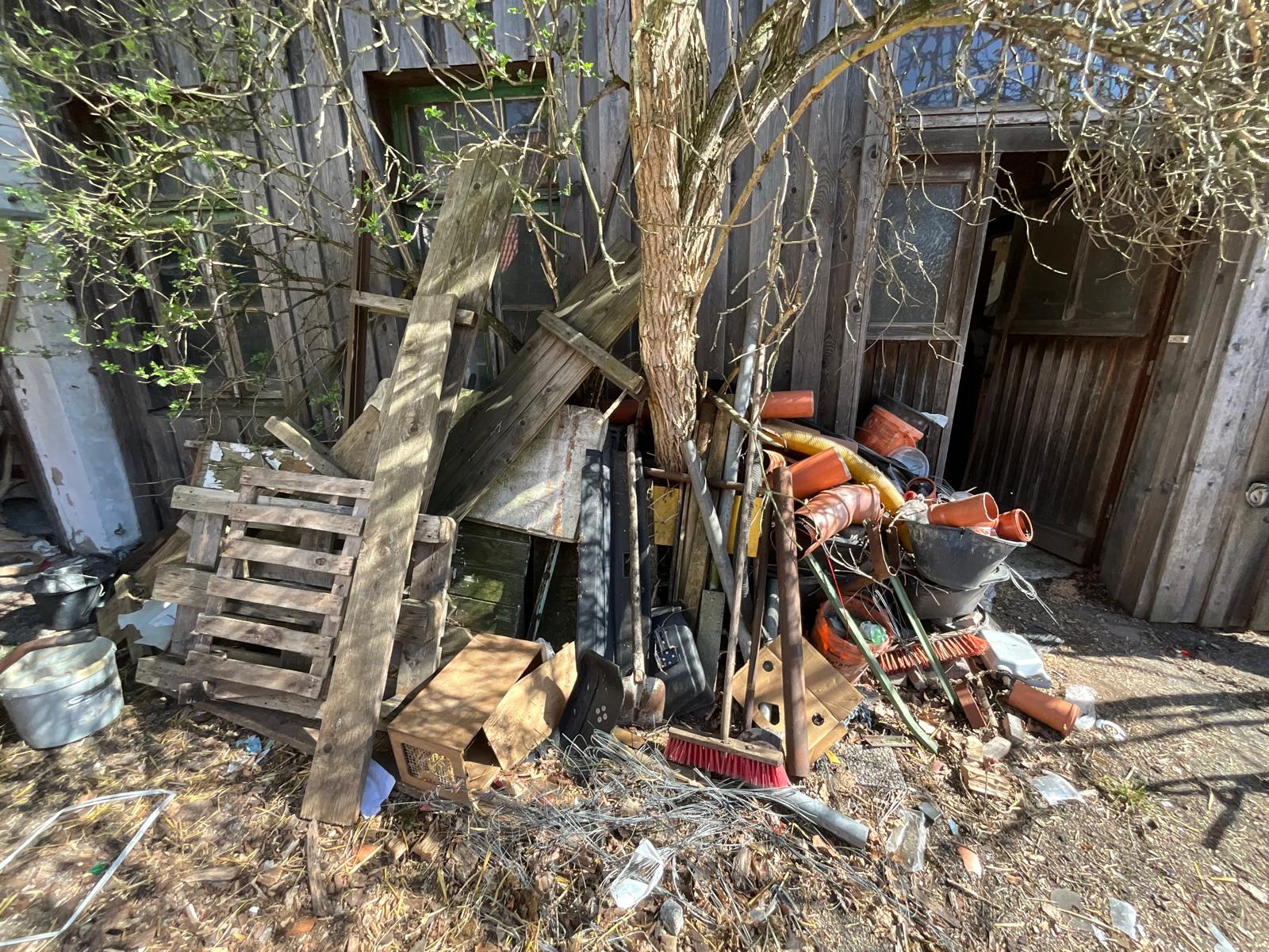 Messie-Entrümpelung - Bild 1